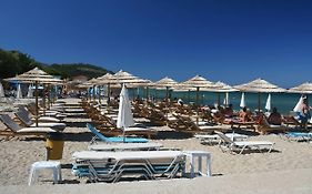 Pan Mare